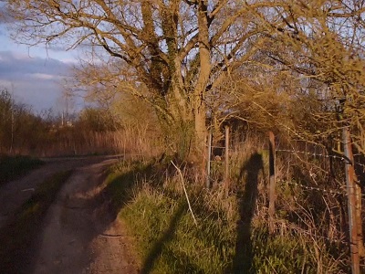 De nature en uchronie