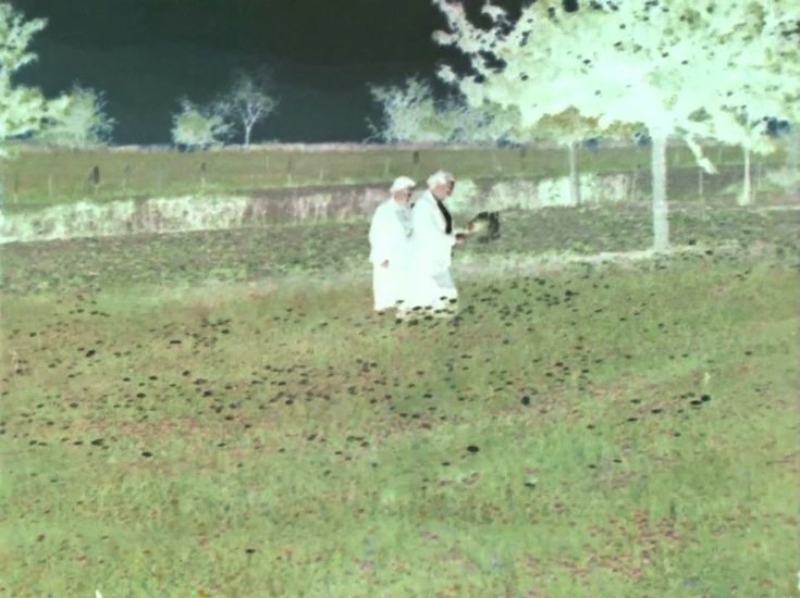 La nature envisagée