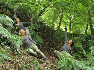 Extension sauvage 2016