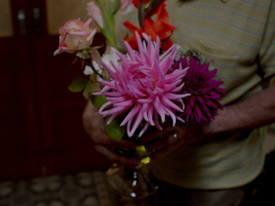 Petit matin de Christophe Loizillon