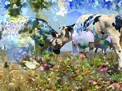 Entretien avec Jacques Perconte