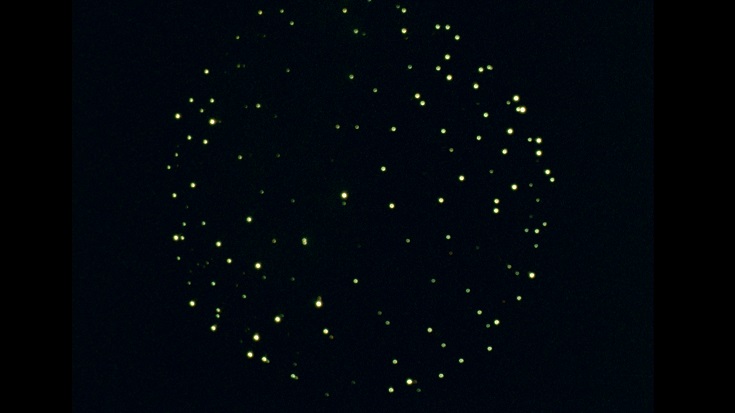 Manifestations naturelles