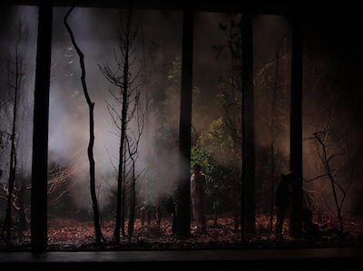 Gisèle Vienne / This is how you will disappear