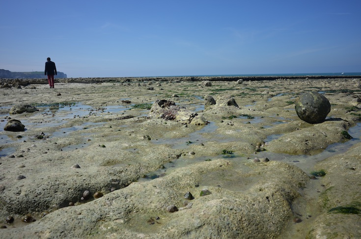 L&rsquo;Art tout contrela machine / Marylène Negro